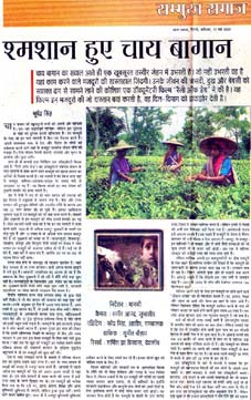 Green Earth Production - Media comments : Click to Enlarge